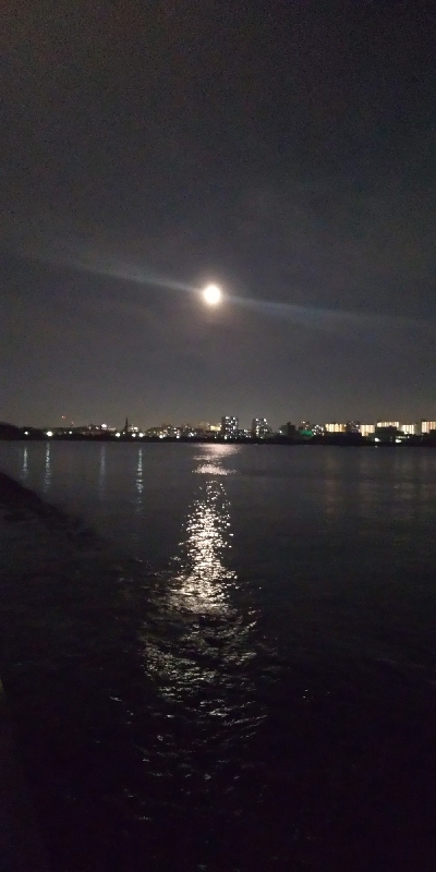 連日のドラゴン！