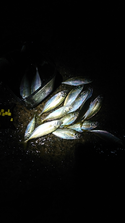 newタックルの入魂式