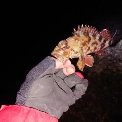 アジゲームでまさかの･・・