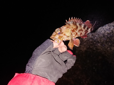 アジゲームでまさかの･・・