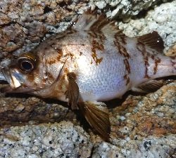 年末天気が荒れる前に