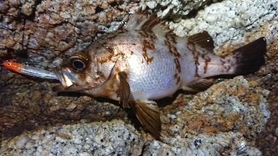 年末天気が荒れる前に