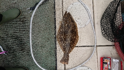 ＳＬＪ&タイラバ