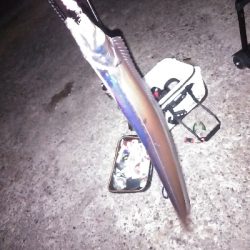 今季初のつ抜け