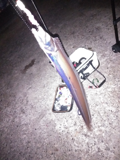 今季初のつ抜け