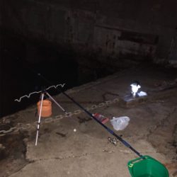 太刀魚リベンジ❗️