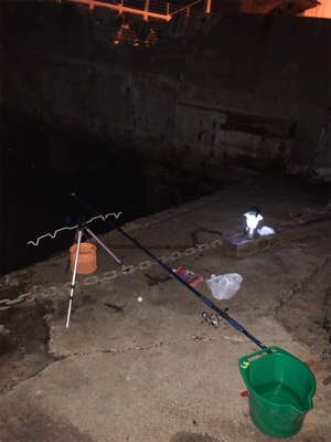 太刀魚リベンジ❗️