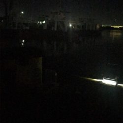 厳しいヒイカ釣り(＞＜)