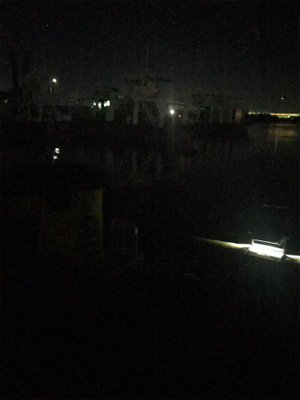 厳しいヒイカ釣り(＞＜)