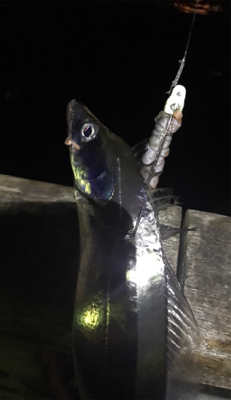 ボチボチです。