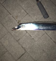 マヅメでツヌケ