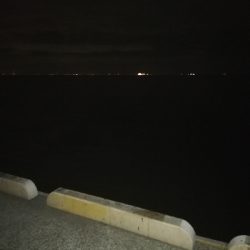 セットアッパー