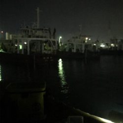 久しぶりのヒイカ入れ食い＋アジも＼(^o^)／