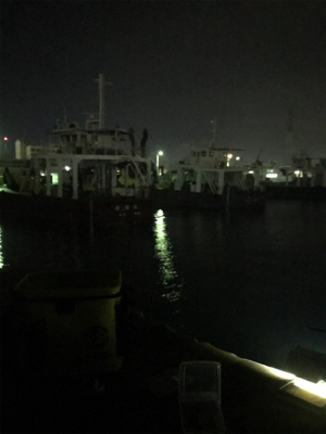 久しぶりのヒイカ入れ食い＋アジも＼(^o^)／