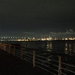 遅い時間も活性高い