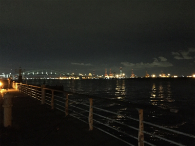 遅い時間も活性高い