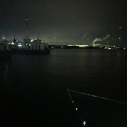 心折れそうなヒイカ釣り(><)