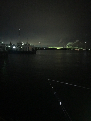 心折れそうなヒイカ釣り(><)