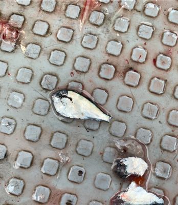 リタックルさんにて