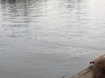 湾奥タチウオ、若潮に苦戦。