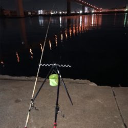 今週も来ました❗️