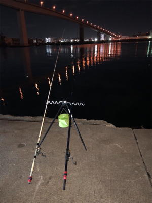 今週も来ました❗️