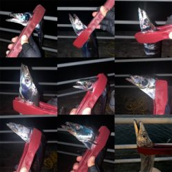 連日つ抜けはならずも陸っぱりドラゴン