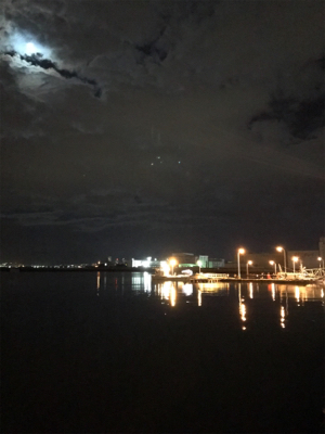 チィチィイカ釣り