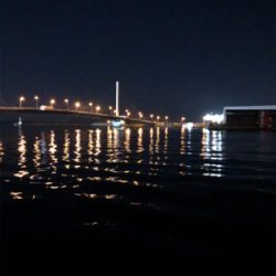 南港エエ感じ〜♫