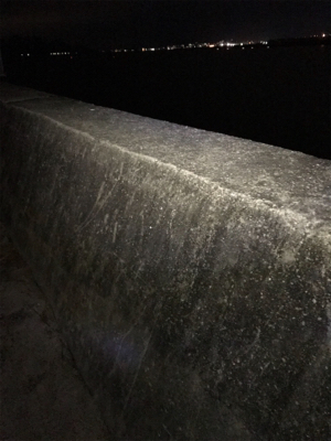 投げ釣りでキビレなど