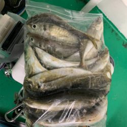 デイでボコボコ