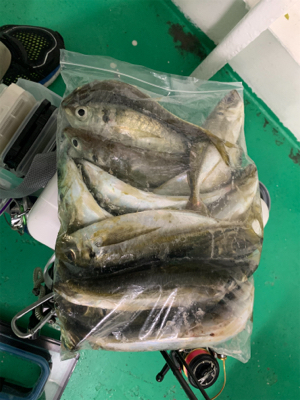 デイでボコボコ