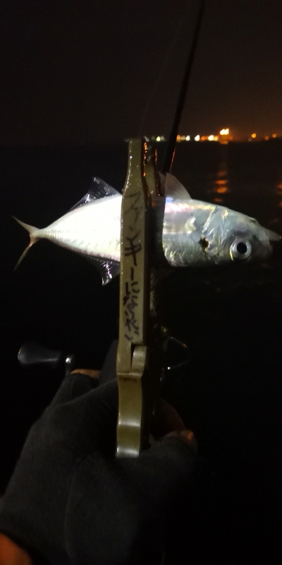 アジング練習 75