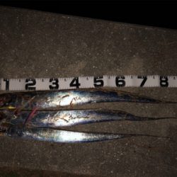 ゆったり流しがコツでした