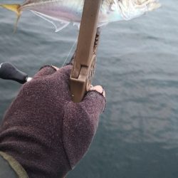 アジング練習  76