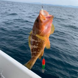 今年最後のマイボート釣行