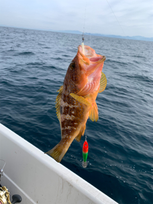 今年最後のマイボート釣行