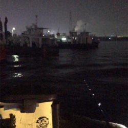 ヒイカ不在。。。アジングで豆アジσ(^_^;)