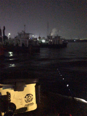 ヒイカ不在。。。アジングで豆アジσ(^_^;)