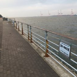 朝マヅメは遠投ボトムから中層♪