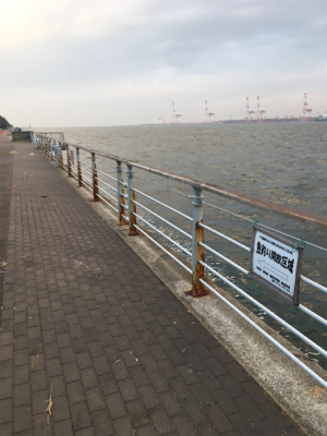 朝マヅメは遠投ボトムから中層♪