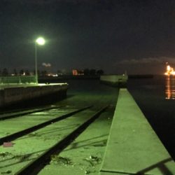 ヒイカとアジも渋い(><)