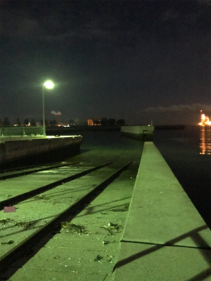 ヒイカとアジも渋い(><)