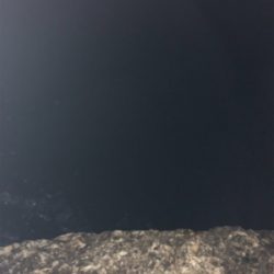 アオリイカ狙い