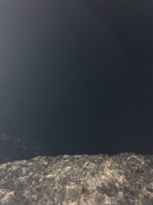 アオリイカ狙い