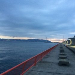 三種盛りならず