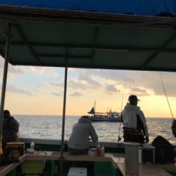 出たカワハギ35.5センチ