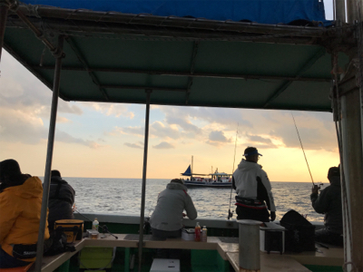 出たカワハギ35.5センチ