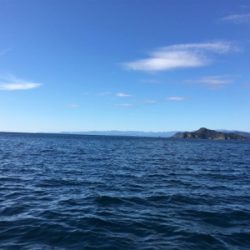 マイボートで根魚狙い。