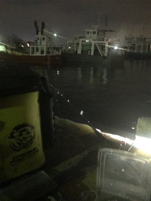 久しぶりにヒイカ釣れたσ(^_^;)